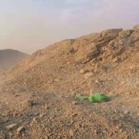 <img src=upfile/images/2025/02/27/small3_17406395851853742.JPG height=300>